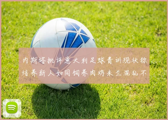 内斯塔批评意大利足球青训现状称培养新人如同饲养肉鸡米兰混乱不堪